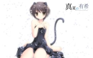 Melancholy of Haruhi Suzumiya