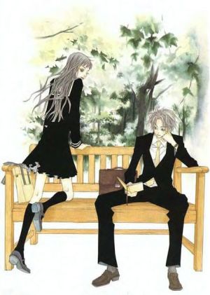 Forest of Gray City